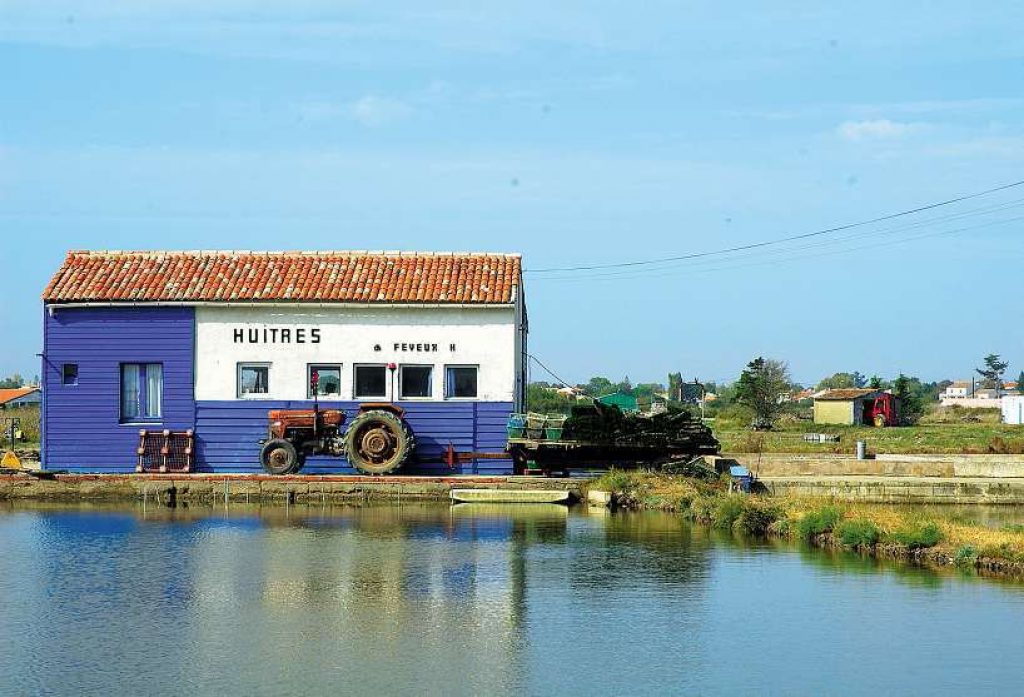 oleron1-jpg