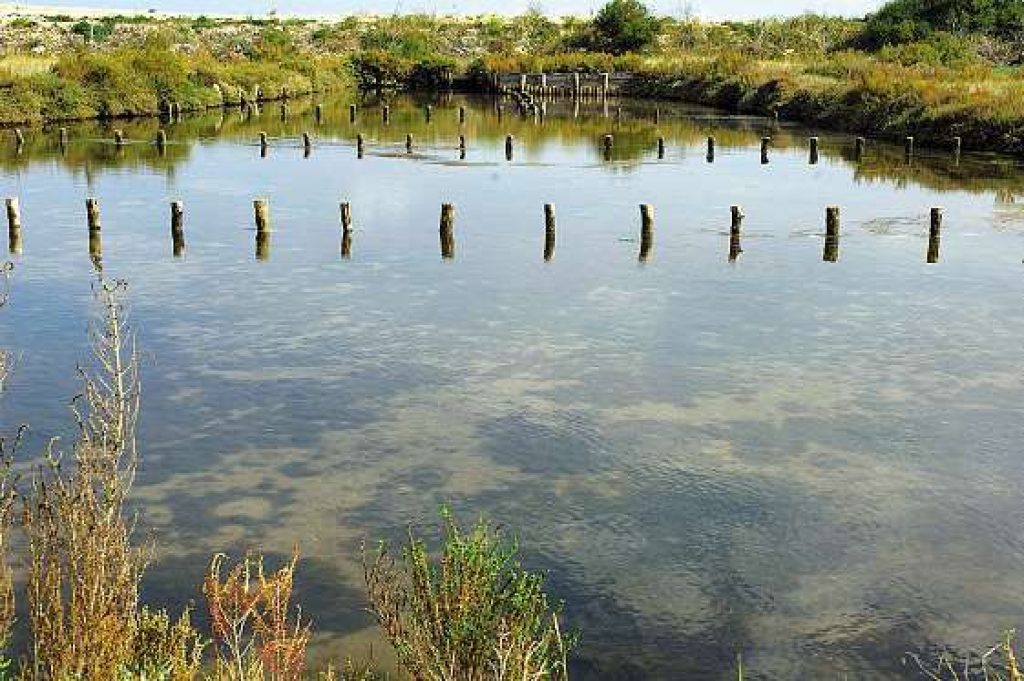 oleron3-jpg