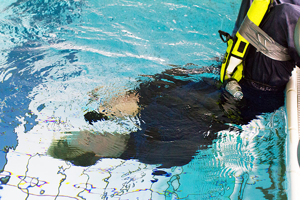 Turtle Test Turtle-Test 2014 - Skipper Bootshandel