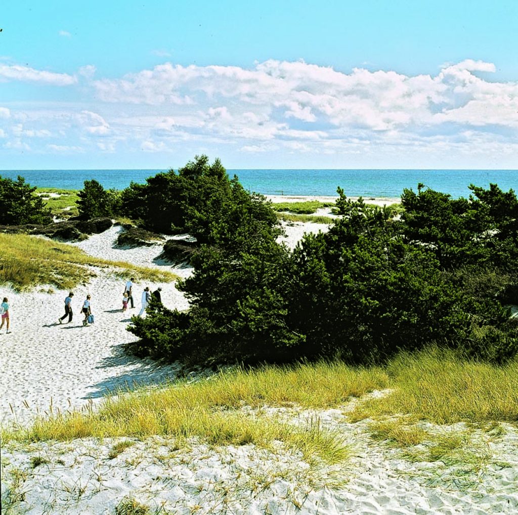 09_BORNHOLM Strand von Dueodde_4c